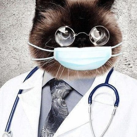 Телеграм канал — Medalbum Medical photo album Самая свежая и полезная инфа