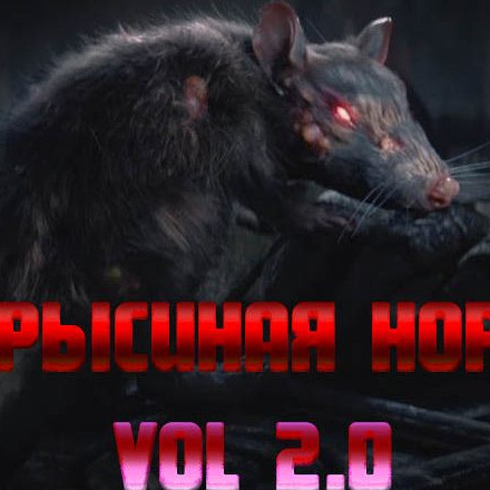 КРЫСИНАЯ НОРА vol 2.0 🔞
