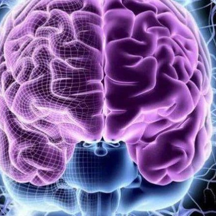 Телеграм канал — Эрудит🧠