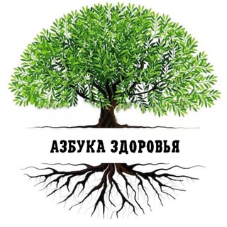 Мед Брат | Азбука Здоровья