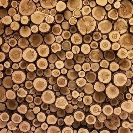 Каталог Топоров🌳🔥