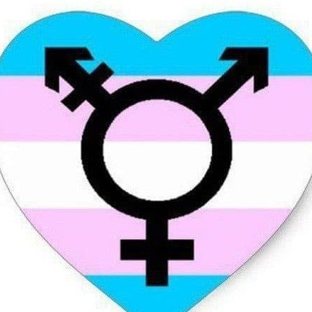 Телеграм канал — SISSY | TRANSGENDERS | ЧЛЕНОДЕВКИ | TRANSSEXUALS