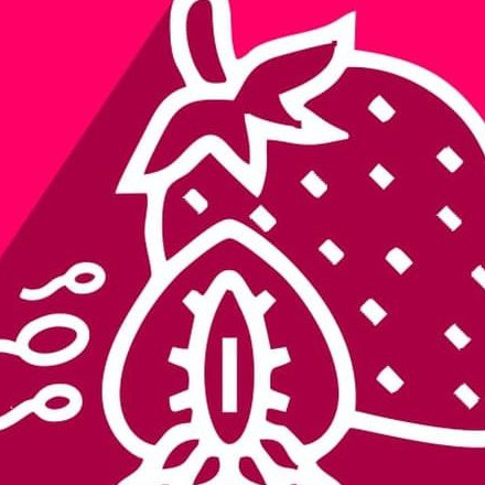 Телеграм канал — Wild Strawberry 🍓