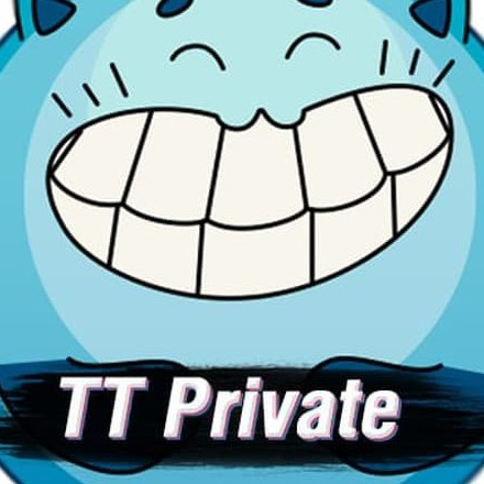 Телеграмм канал — TT Private