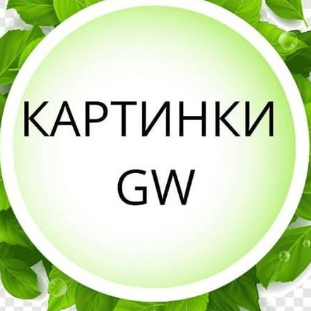 Телеграм канал — КАРТИНКИ | ФОТО ГРИНВЕЙ
