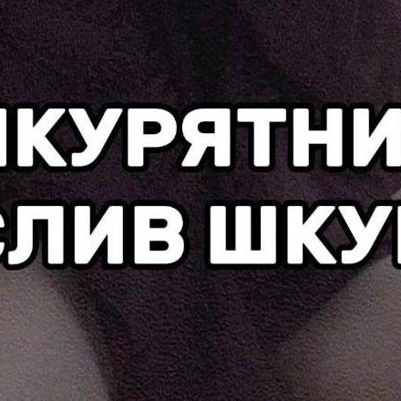 шкурятник | слив шкур