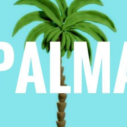 Телеграм канал — PALMA TV