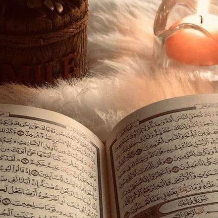 Телеграм канал — Днᴇʙниᴋ Муᴄуᴧьʍᴀнᴋи📔