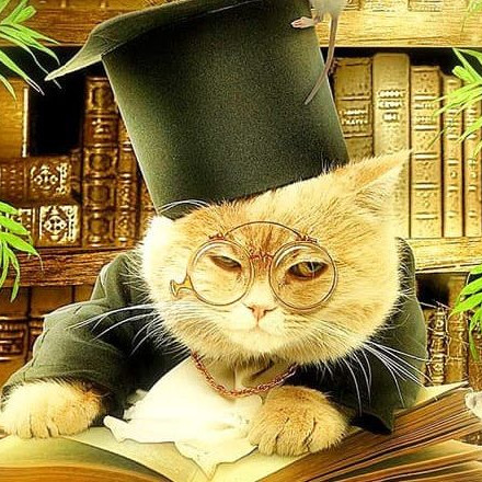 Телеграм канал — Книгaмоделизм